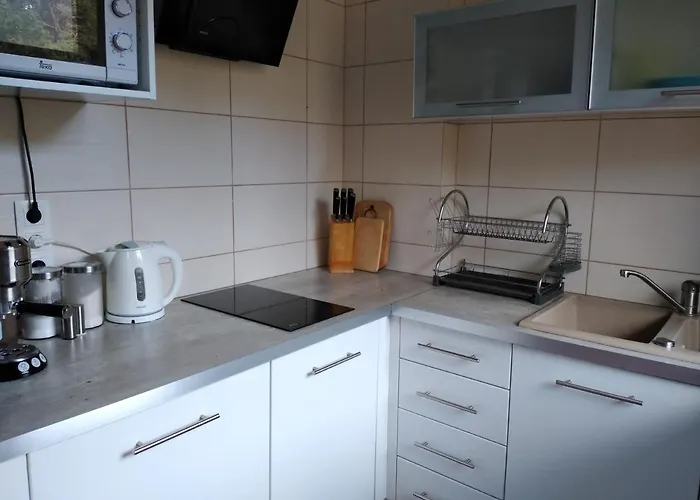 Apartament Przytulny